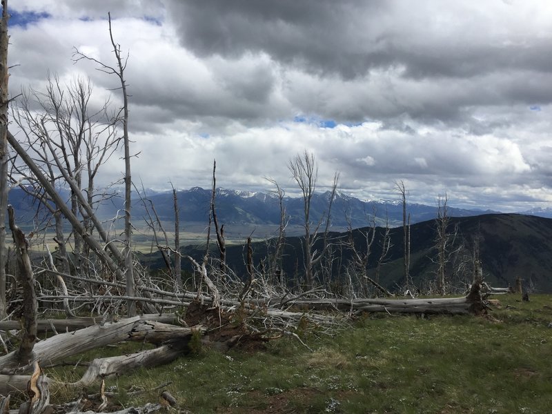 Paradise Valley and the Absaroka Mountains.