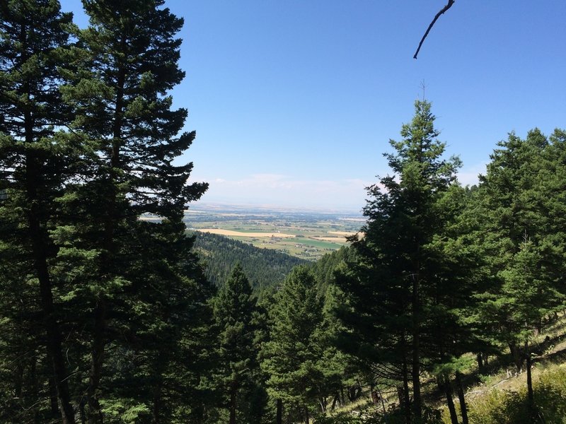 Near the top of Leverich Canyon, you've climbed quite a ways by this point.