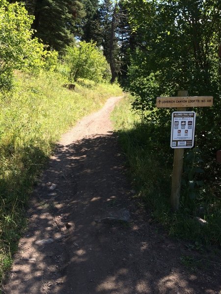 The climb starts right from the parking lot and doesn't stop until the top.