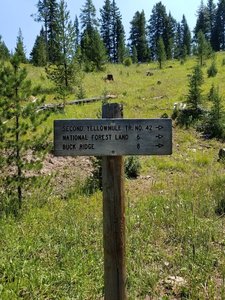 Trail junctions below the ridge trail