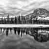 Yellowstone & The Grand Tetons in Winter