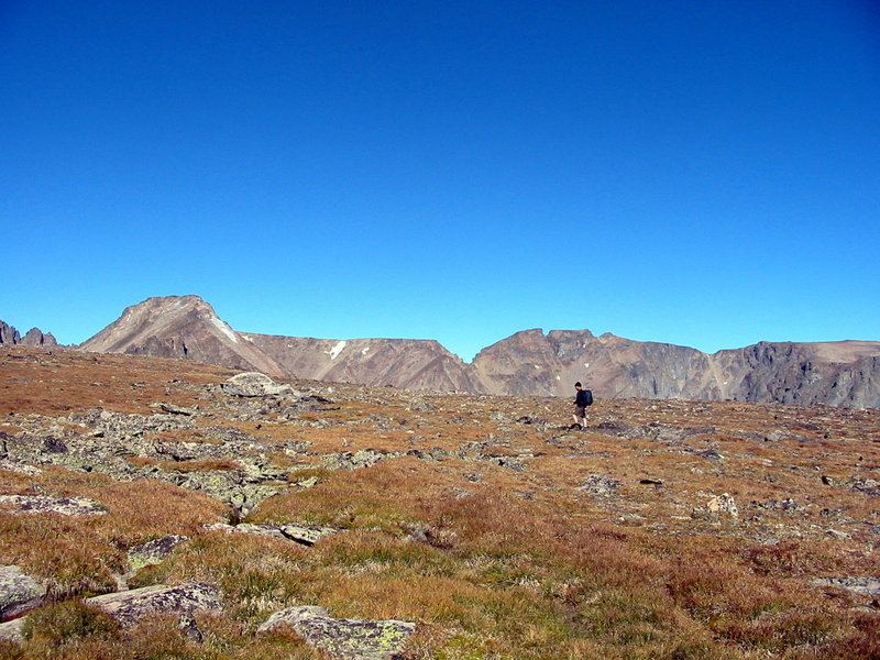 Alpine meadows