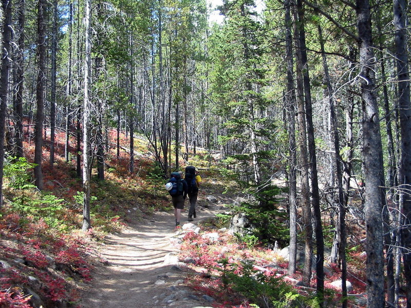 On the trail