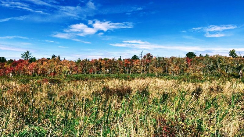 Fall Colors along the Trail