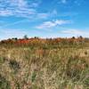 Fall colors along the trail