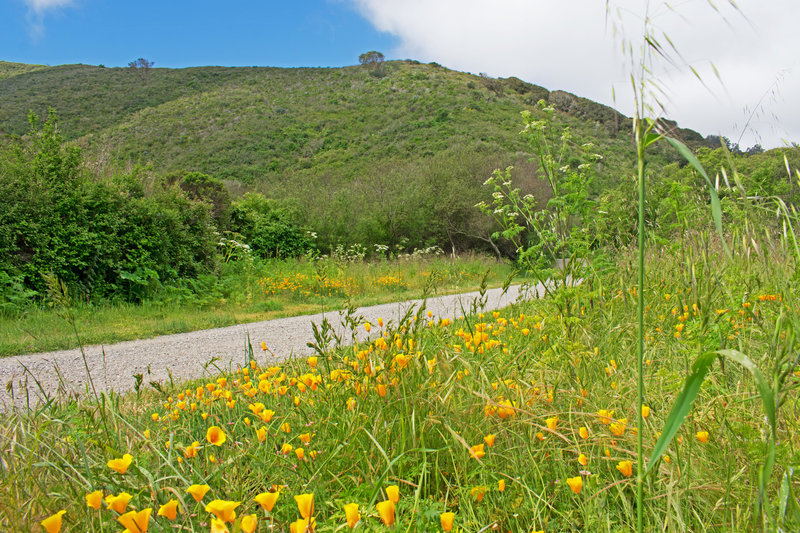 Near end of Weiler Ranch Road