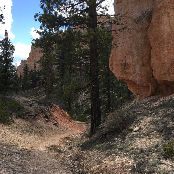 Perhaps not the wow factor of other Bryce Canyon NP trails, but enjoyable rock and views nonetheless.