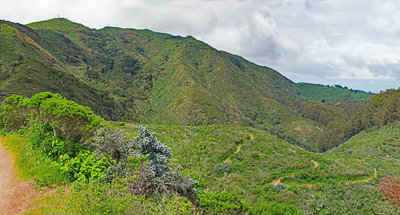 Hazelnut Trail crossing saddle between the South and Middle Forks of San Pedro Creek with Montara Mountain in the background and the hazy Pacific on the right.
