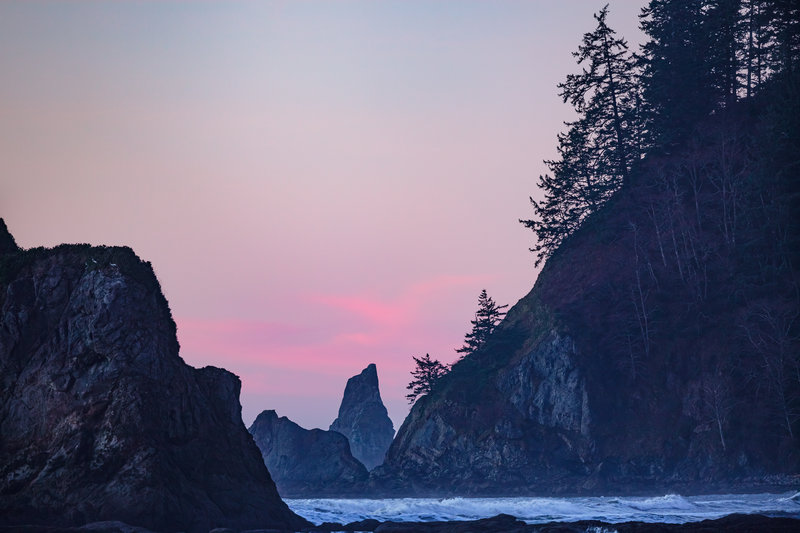 Craggy Olympic Shoreline