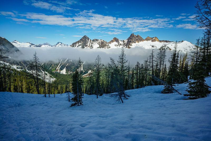 View South from High on Blue Lake Trail