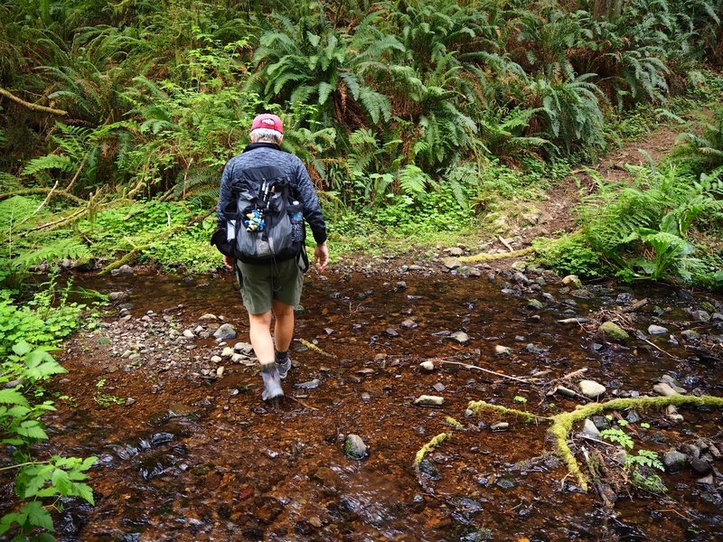 Crossing upper Berry Creek