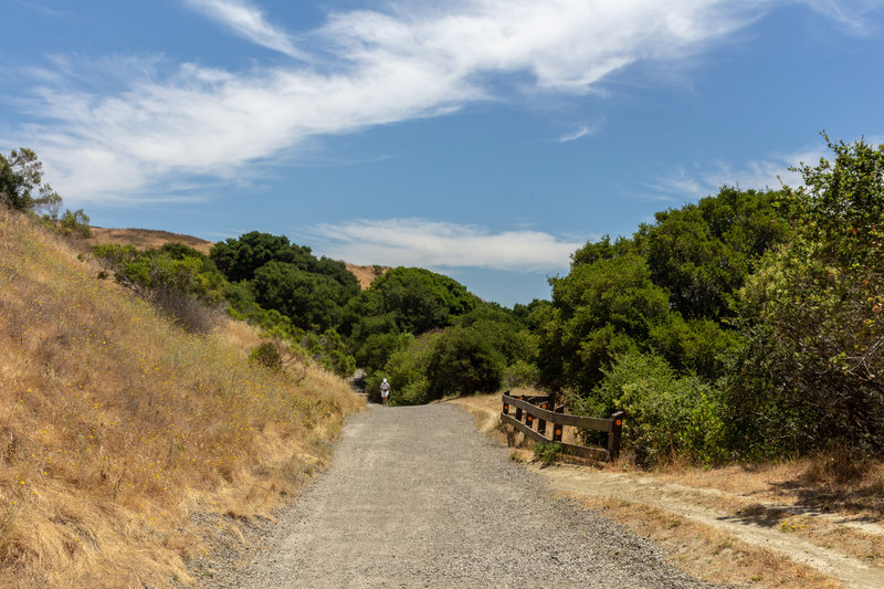 Beginning of the unpaved section of Wildcat Creek Trail.