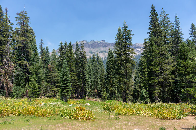 Castle Peak across the open meadows surrounding Castle Valley Road.