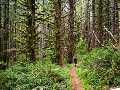 Along the Scurvy Ridge Trail