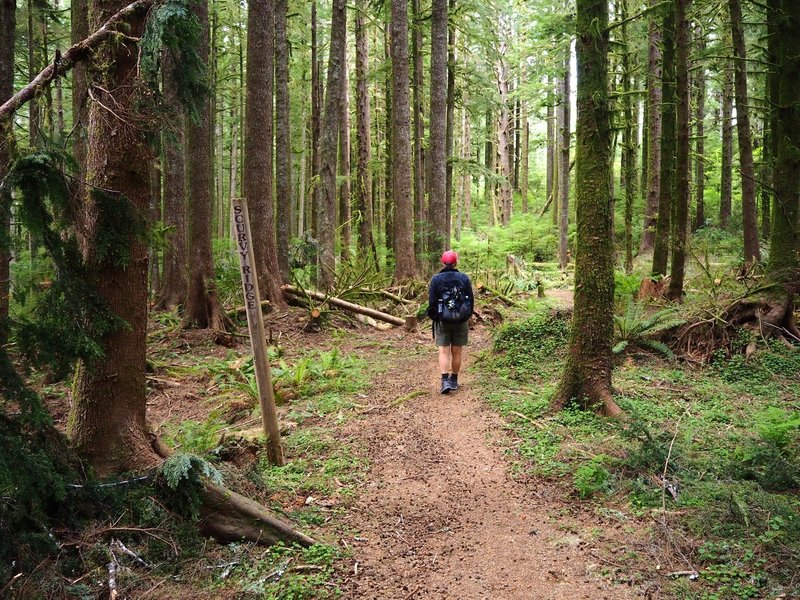 The trail is signed here and there with wooden posts