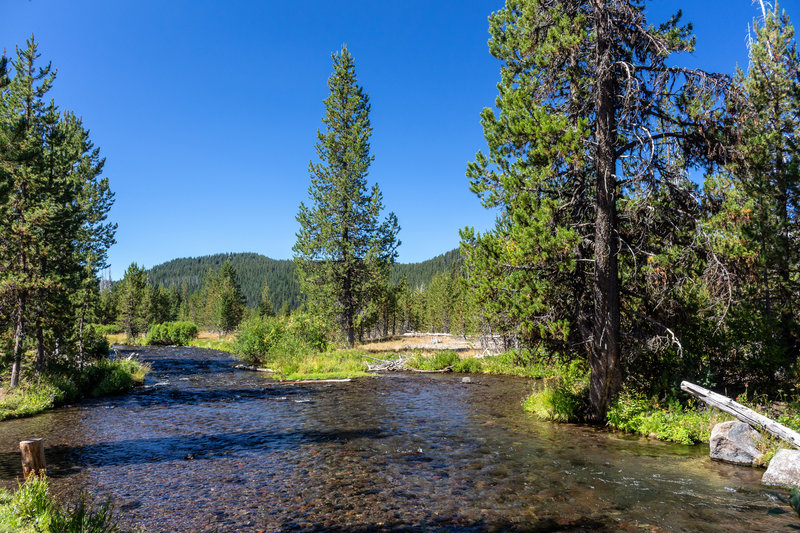 Fall Creek from the bridge across the creek not far from the trailhead.