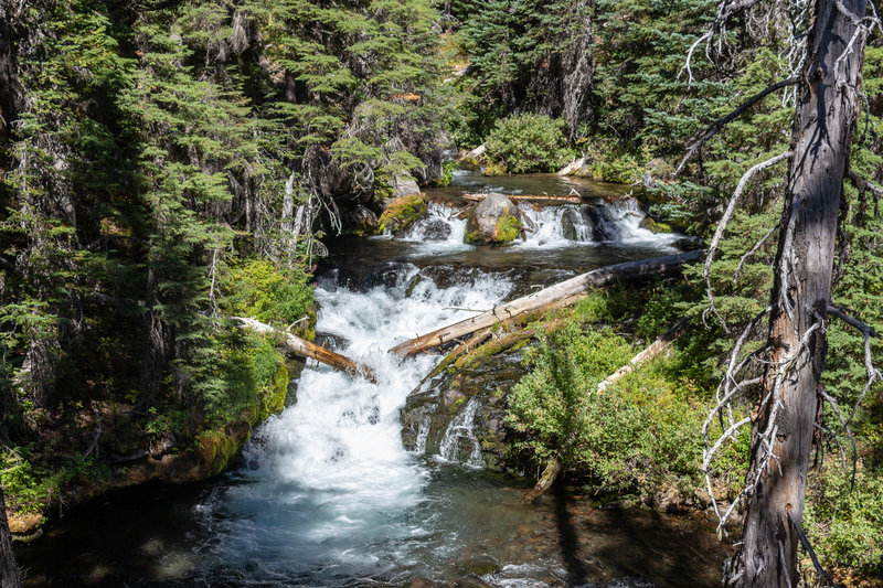 One of the numerous smaller waterfalls along Fall Creek.