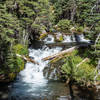 One of the numerous smaller waterfalls along Fall Creek.