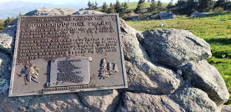 Cornelious Rex Peake Memorial a top Grassy Ridge Bald