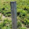 The Spur post to Grassy Ridge Bald.