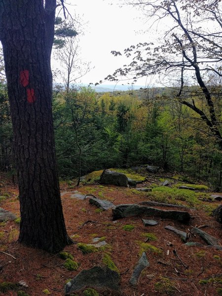 View from one of the many knobs along the RFT.