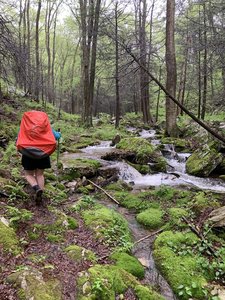 Hiking along Maple Run
