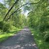 The Mid State Trail while following the Lower Trail