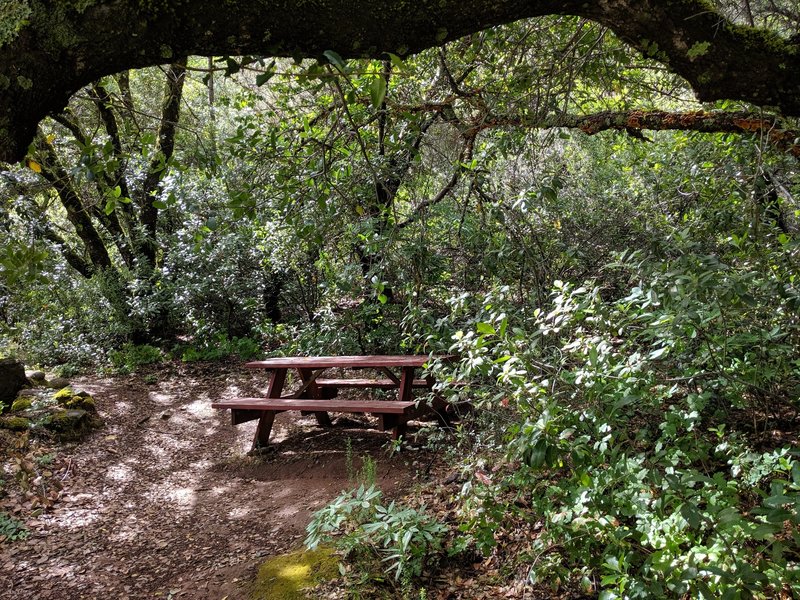 A shady picnic table halfway to the falls.