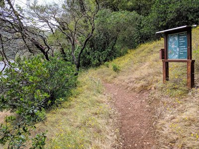 Codfish Creek Falls Discovery Trail sign with trail guides.
