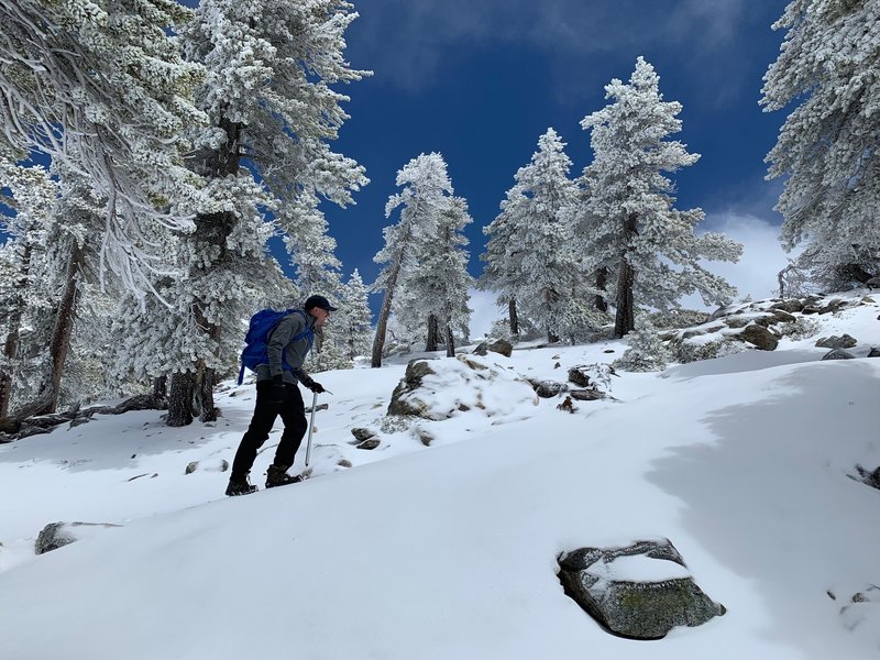 Blue skies on the way to the top of Badly.