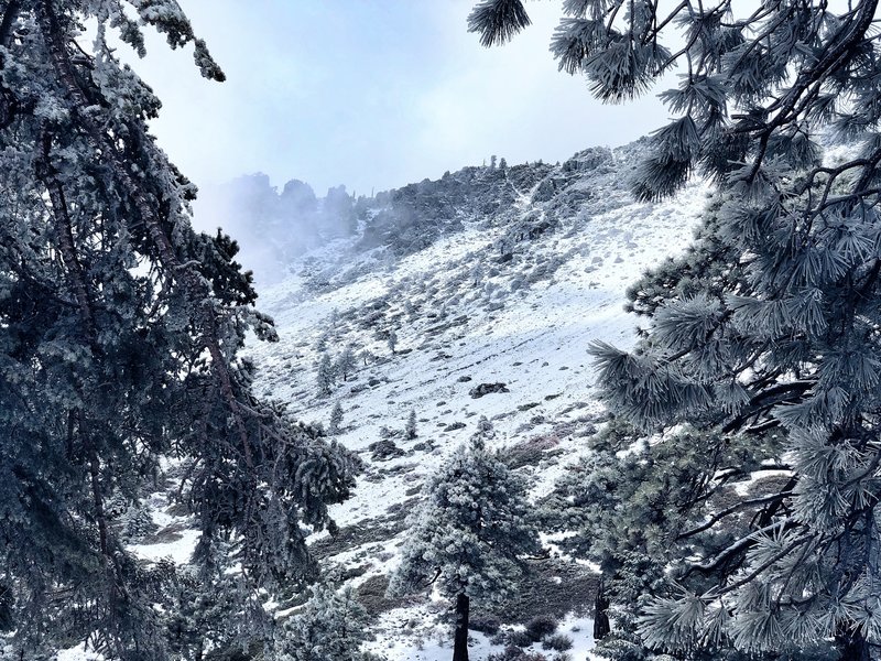 View from the Ski Hut.