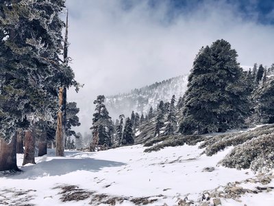 A brief moment of sunlight...