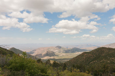Looking northwest from trail.