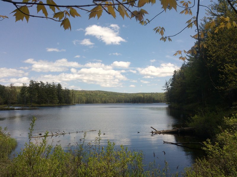 Beautiful views all the way around the lake. This was the north side of Lake Tully looking south.