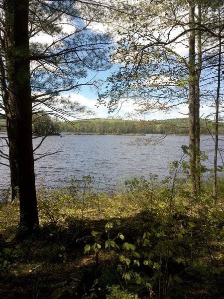 Eastern side of lake looking west.