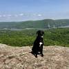 View of the Hudson and Bear Mountain Bridge.