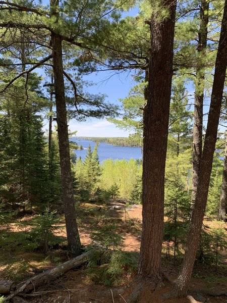 Kabetogama Lake view from trail.