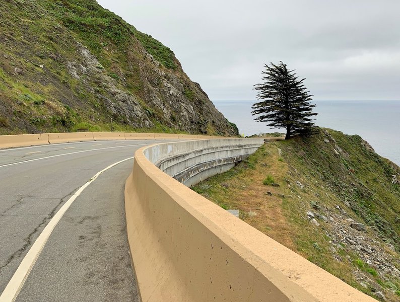 Typical of the "trail," which is as well-paved, maintained, and generously wide as any two-lane highway … minus the cars.