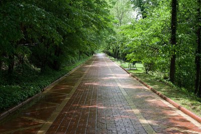 The Grand Promenade is a paved trail that runs behind bathhouse row.