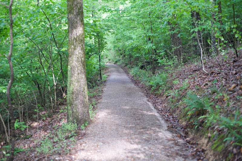 The Mountain Trail is fairly wide and made of crushed rock and dirt. The trail is shaded, which makes it nice to hike in the afternoon.