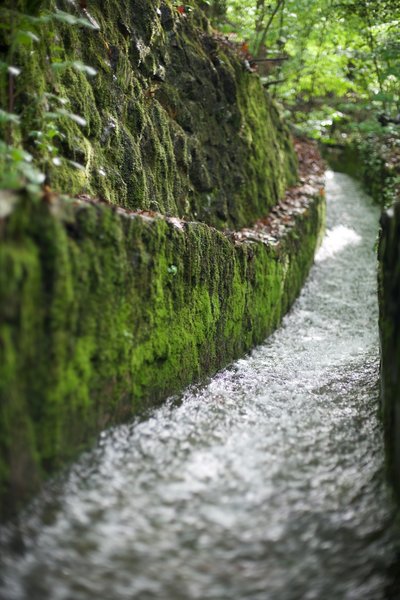 Water flows along the trail after a rainstorm.