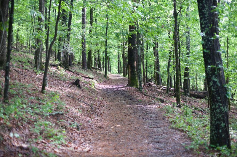 The Canyon Trail as it climbs along the side of the mountain.