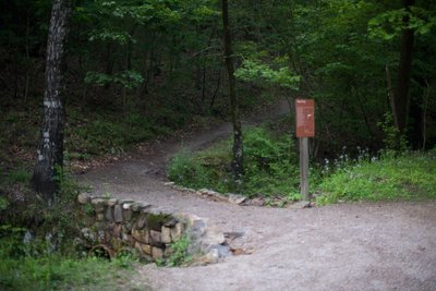 The Floral Trail crosses Fountain Street and starts climbing up toward the Lower Dogwood Trail.