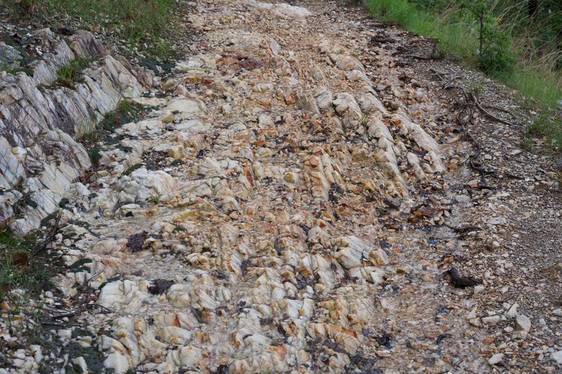 The Goat Rock Trail is rockier than other trails in the park. Here, you can see quartz in the trail.