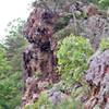 Goat Rock from the trail.