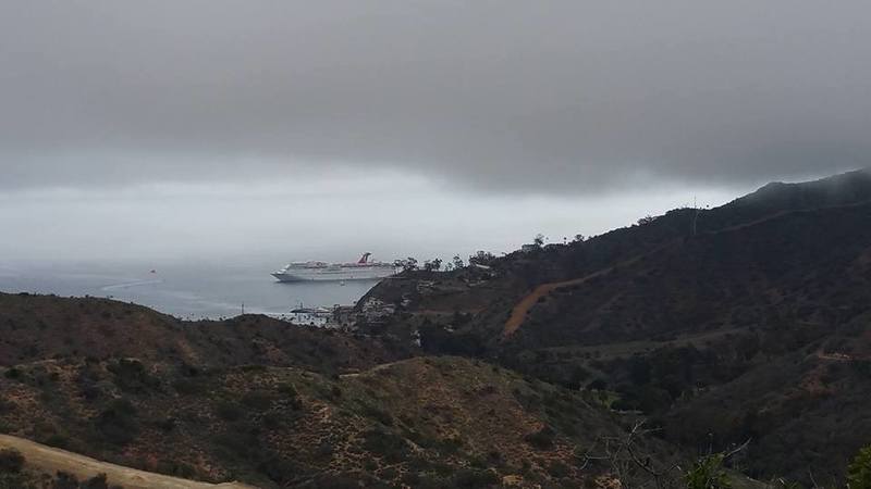 View of Avalon Bay from Hermit Gulch trail, at Interior/Conservancy border.