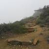 Top end of the Hermit Gulch Trail, looking west (and up!) to the gazebo/lookout on Divide Road, on a rainy January morning. This trail is steep!