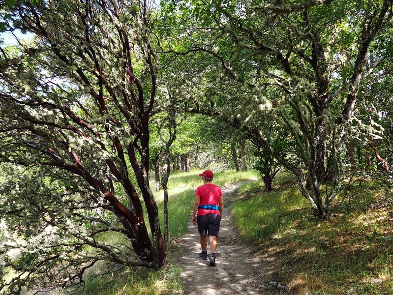 Along the Dollar Mountain Trail.