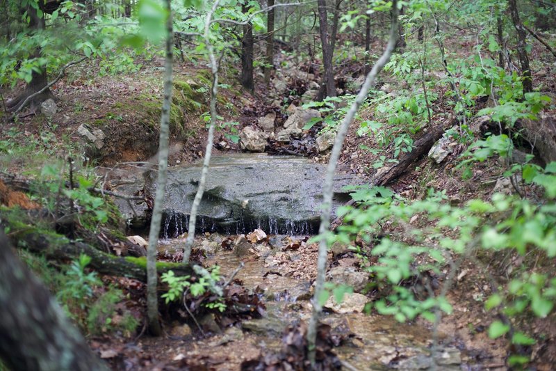 A small creek crosses the trail. After rainstorms, expect the trail to be wet.