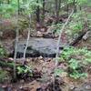 A small creek crosses the trail. After rainstorms, expect the trail to be wet.